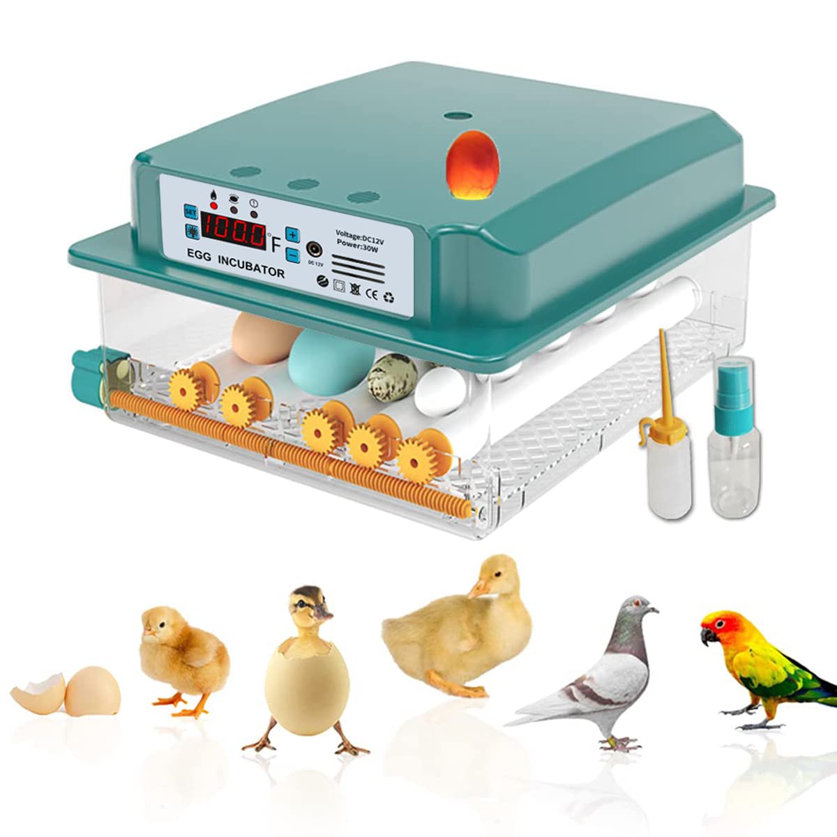 automatic parakeets eggs incubator