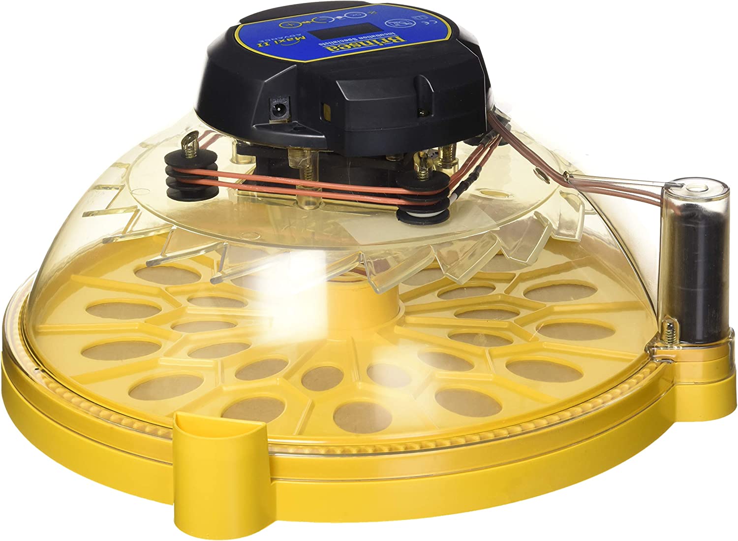 automatic incubator for parakeet eggs 